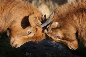 funnel marketing vs growth hacking