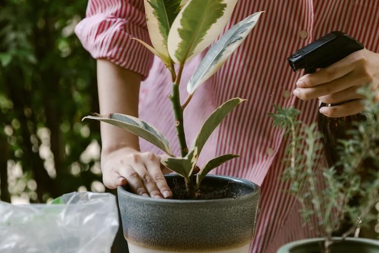 lead nurturing