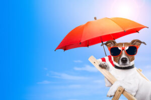 campagne di marketing estive
