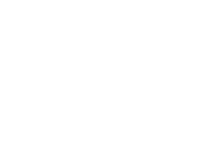 toyota logo bianco